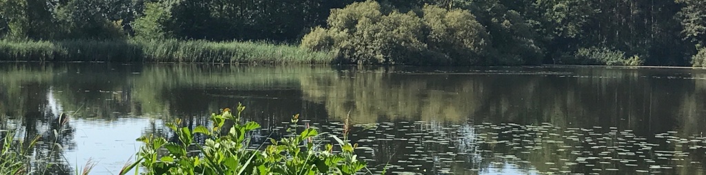 landgoed_keppel_14persoons_vakantiehuis_tussenysselt-achterhoek_kolk